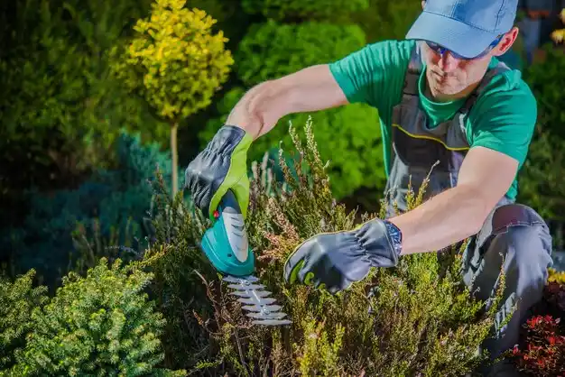 landscaping services Bridgehampton